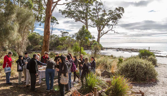 Bruny Island Safari 018