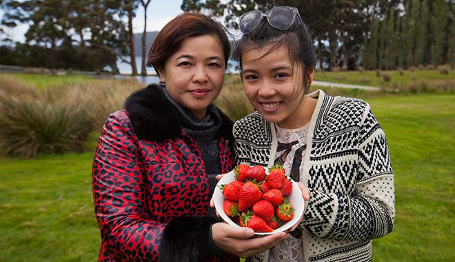 Bruny Island Traveller 2