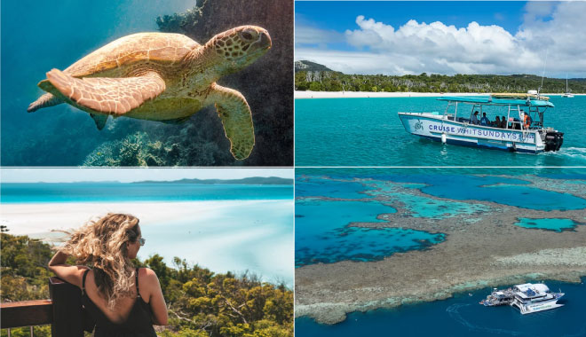 CW REEF & Whitehaven