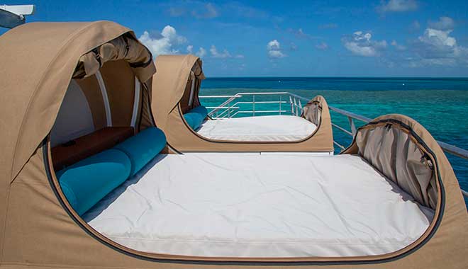 CWS REEFWORLD reefbeds