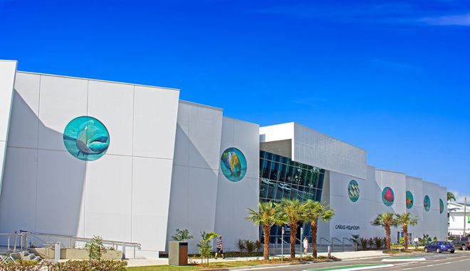 Cairns Aquarium 3