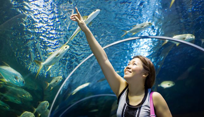 Cairns Aquarium 5