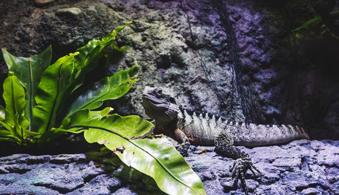 Cairns Aquarium 7
