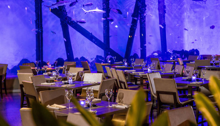 Cairns Aquarium Twilight Dinner 001