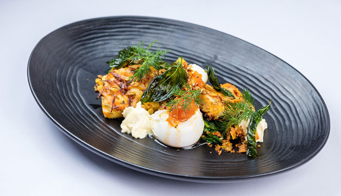 Cairns Aquarium Twilight Dinner & Night Tour 55