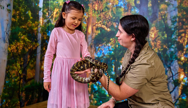 Cairns Koalas & Creatures 009