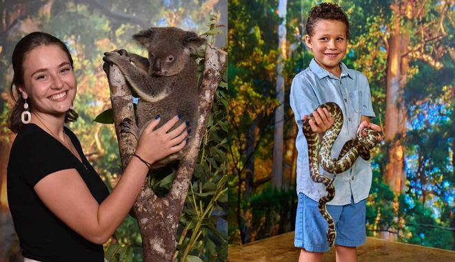 Cairns Koalas and Creatures 009