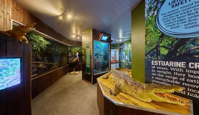 Cairns Koalas and Creatures Admission5