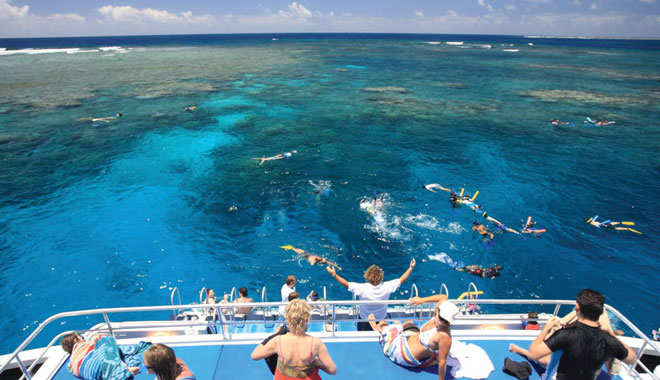 Calypso Opal Reef Snorkel and Dive   3