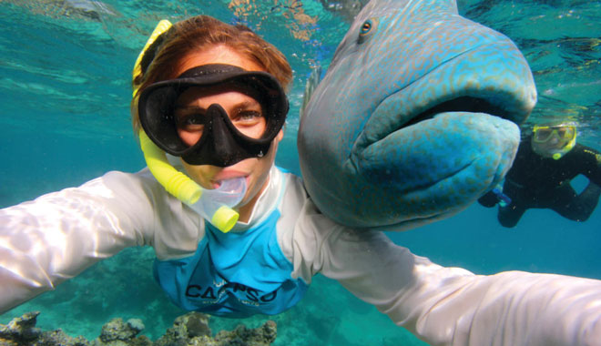 Calypso Opal Reef Snorkel and Dive 5