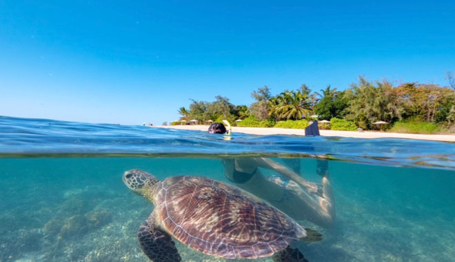 Calypso low isles 003