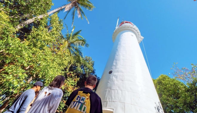 Calypso low isles 005