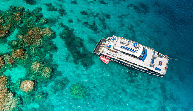 Calypso snorkelling 2