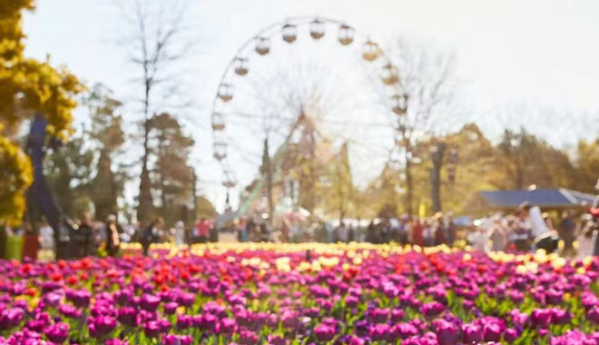 Canberra Floriade 002