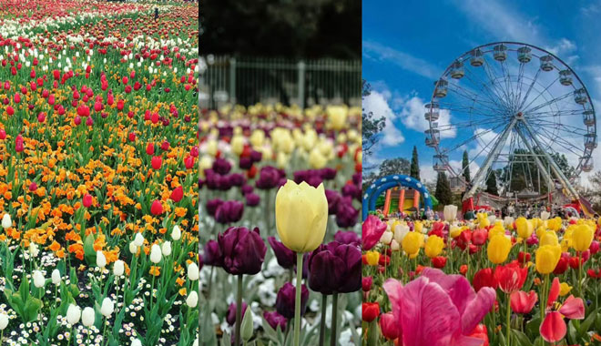 Canberra Floriade 055