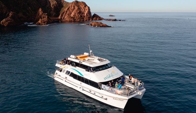 Cape Cruise 006