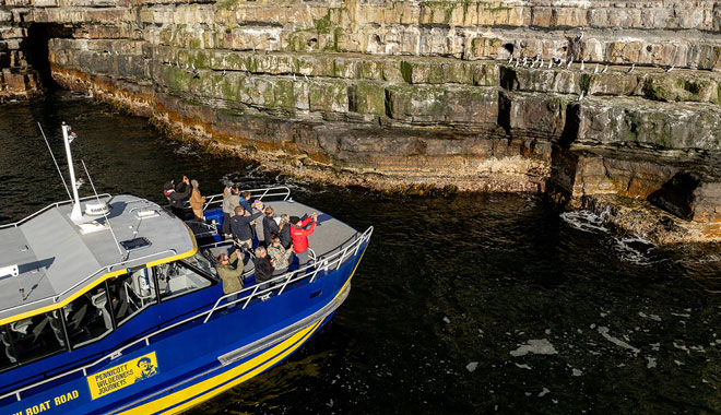 Cape Raoul Cruises 19