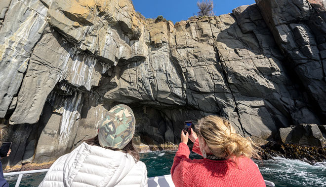 Cape Raoul Cruises 6989