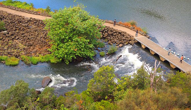 Cataract Gorge 4