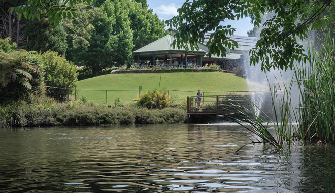 Cedar Creek Estate Vineyard & Winery 001