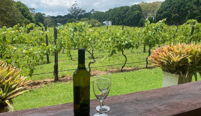 (Cedar Creek Estate Vineyard & Winery 99852