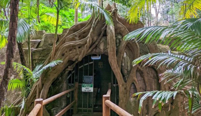 Cedar Creek Estate Vineyard & Winery glow worn