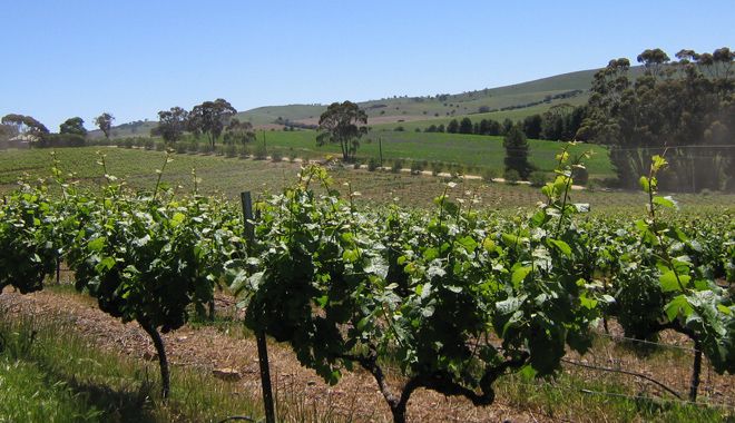 ClareValley 1