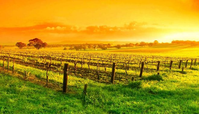 ClareValley 2
