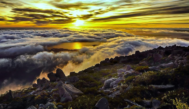 Coal Valley Wine and Gin Safaris WEB 001