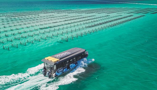 Coffin Bay Oyster Farm 00