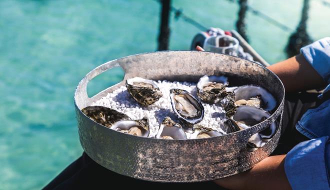 Coffin Bay Oyster Farm 20