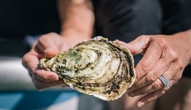 Experience Coffin Bay