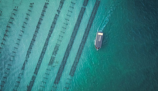 Experience Coffin Bay