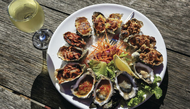 Coffin Whale Watching in the Great Australian Bight11 .pg