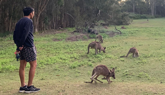 Coombabah Conservation Park 75