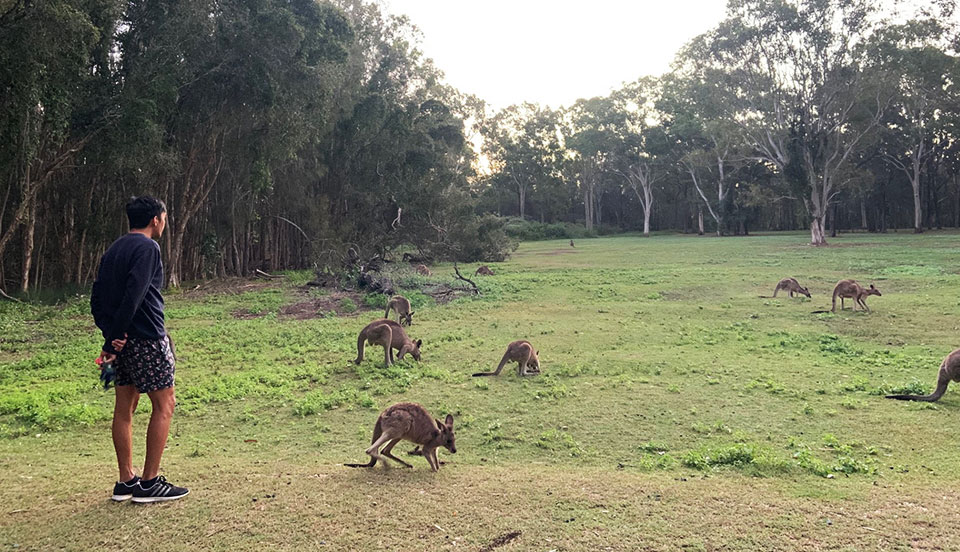 Coombabah Conservation Park Gold Coast3