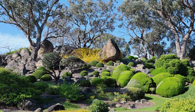 Cowra   Japanese Garden 551