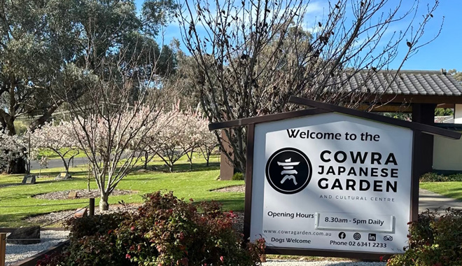 Cowra   Japanese Garden 552