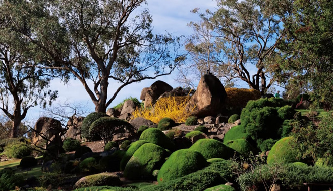 Cowra   Japanese Garden 559