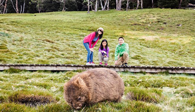 Cradle Mountain 6