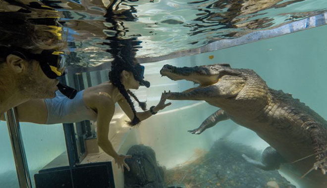 Croc Arena 6
