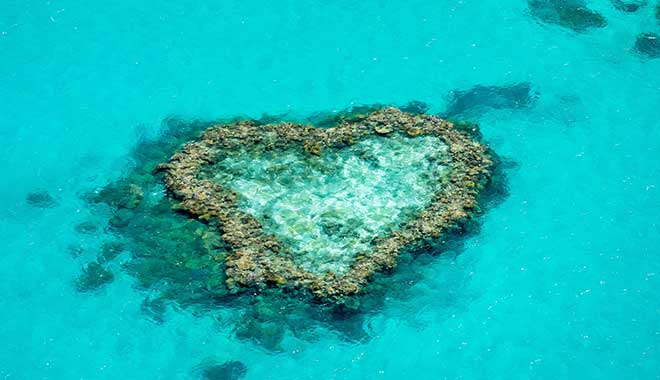 Cruise Whitsundays Great Barrier Reef fly over Heart Reef on a Scenic flight