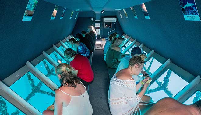 Cruise Whitsundays Great Barrier Reef semi submersible boat ride