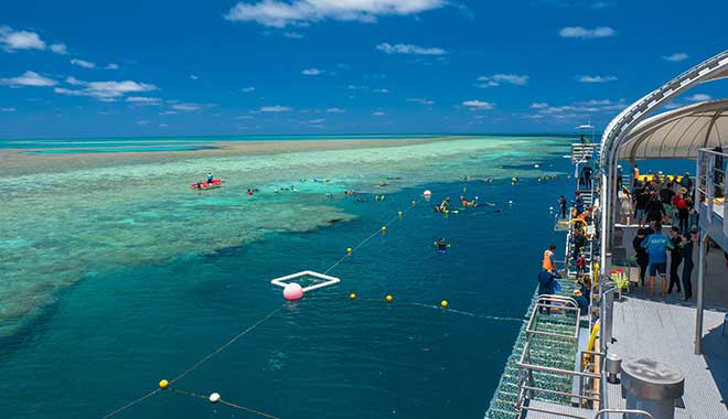 Cruise Whitsundays Great Barrier Reef snorkelling area