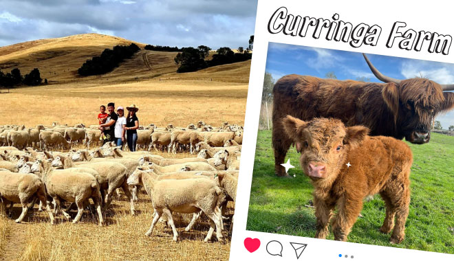 Curringa Farm