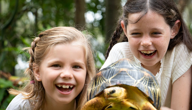 Currumbin Wildlife Sanctuary1