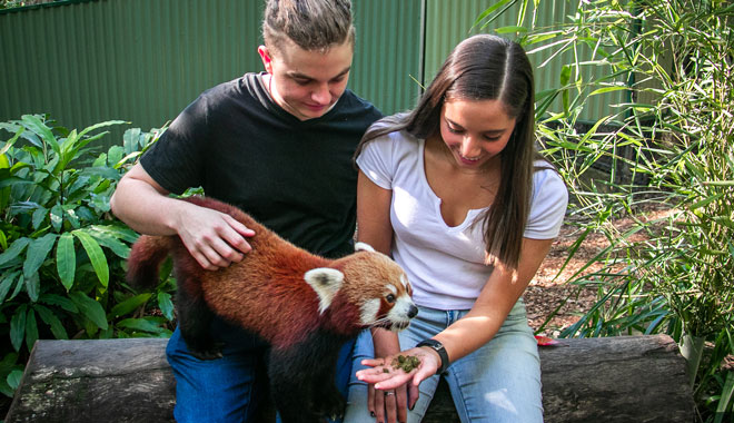 Currumbin Wildlife Sanctuary3