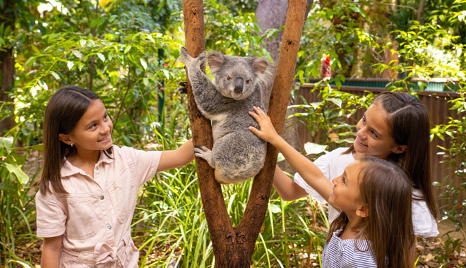 Currumbin Wildlife Sanctuary5