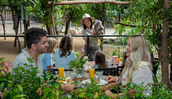 Currumbin Wildlife Sanctuary6