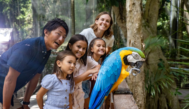 Currumbin Wildlife Sanctuary7